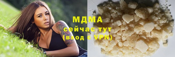 хмурый Абаза
