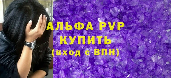 хмурый Абаза