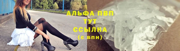 хмурый Абаза