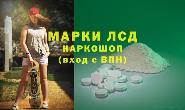 хмурый Абаза