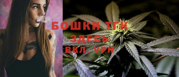 хмурый Абаза